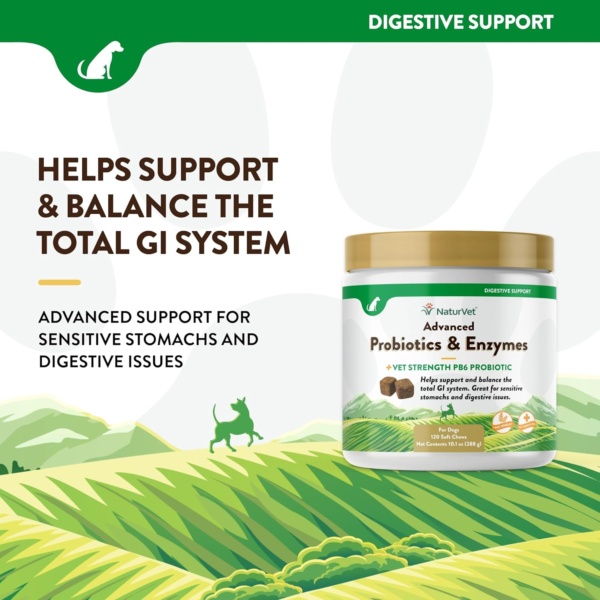 Veterinarian Strength Advanced Probiotics, Healthy Enzymes and PB6 Probiotic Supplement For Your Dogs Stomach, Intestine, Digestion and GI Tract health, Made by NaturVet, 120 Soft Chews - Image 2