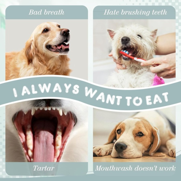Pet Toothbrush, 2Pcs Cat Toothbrush Dog Toothbrush Puppy Toothbrush Kitten Toothbrush Small Dog Toothbrush Soft Toothbrushes for Dogs Cats Tooth Brush Dogs Toothbrush Dental Care for Small Dogs Cats - Image 4