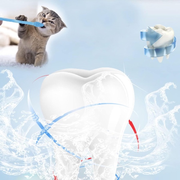 Dog Toothbrush,2 Triple Head Pet Toothbrushes 2 Double Headed Toothbrush Multi-Angle Dental Cleaning Brushes for Dog Cat pet Tooth Dental Health - Image 3