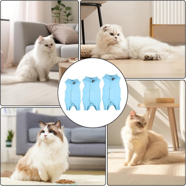 Cat Surgery Recovery Suit Cat After Surgery Bodysuit for Abdominal Wounds or Skin Diseases Kitten Surgical Onesie E-Collar Alternative for Cats and Dogs (Blue, S) - Image 6