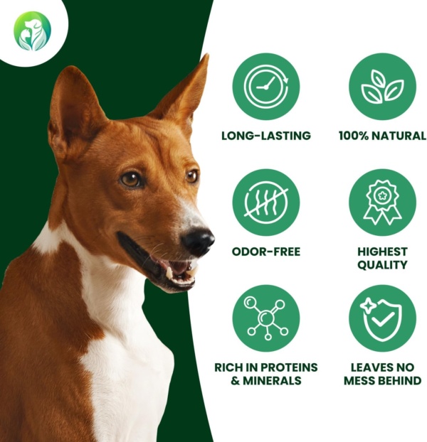 Premium Natural Deer Antlers For Dogs - Rich in Proteins & Minerals - Durable, Long Lasting Dog Chew for Dental Care, Teething, and Boredom - Spilt L (81-120g), pack of 3 - Image 3