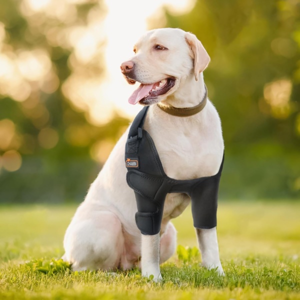 Dog Elbow Brace for Elbow Support and Protection, Protector Pads Hygroma, Elbow Pads for Dogs Dysplasia, Calluses, Elbow Wound Healing,et(Both Legs,L) - Image 2