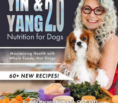 Yin & Yang 2.0 Nutrition for Dogs: Maximizing Health with Whole Foods, Not Drugs