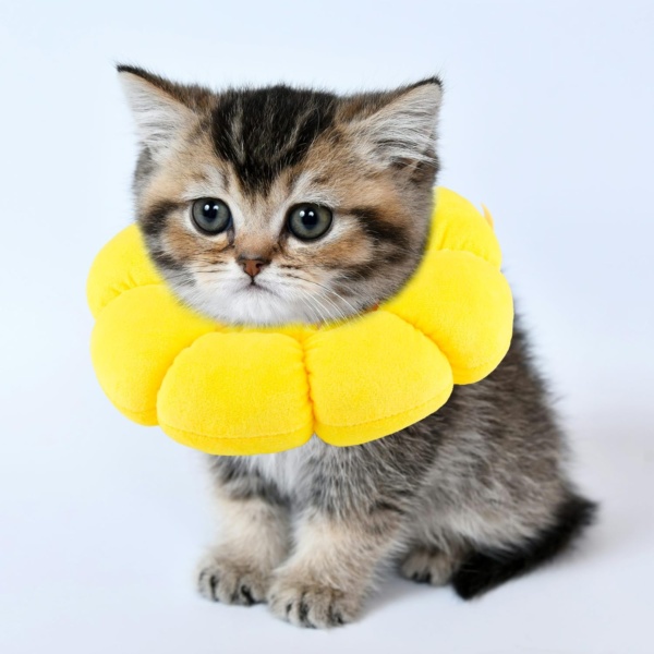 Sunflower Pet Recovery Collar Soft and Comfortable Anti-Lick and Scratch Adjustable Neck Collar Promote Healing for Cats and Dogs Post-surgery Care - Image 3