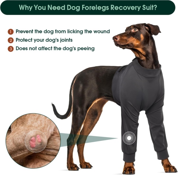 Kuoser Dog Recovery Suit - Female Foreleg Surgical Suit, Blue - Image 5