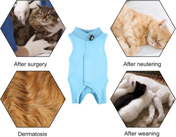 Cat Surgery Recovery Suit Cat After Surgery Bodysuit for Abdominal Wounds or Skin Diseases Kitten Surgical Onesie E-Collar Alternative for Cats and Dogs (Blue, S) - Image 5