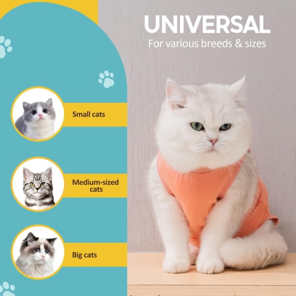 Avont Cat Recovery Suit Post Surgery, Elizabethan Collar & Cone Alternative, Kitten Onesie Pet Surgical Spay Shirt for Abdominal Wounds or Skin Diseases -Coral (S) - Image 6