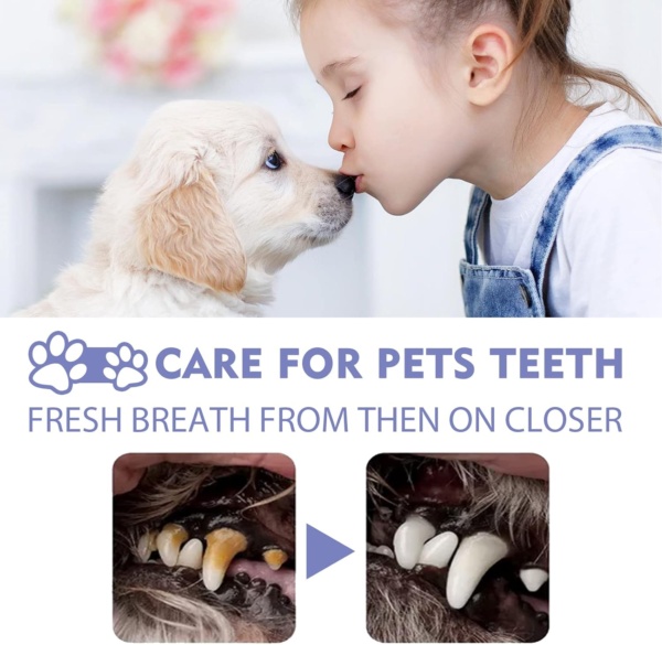 VENNERLI Pet Oral Care Spray Cleaning Oral Care Freshens Breath Reduces Oral Tartar Promote Oral Health (50ml) - Image 7