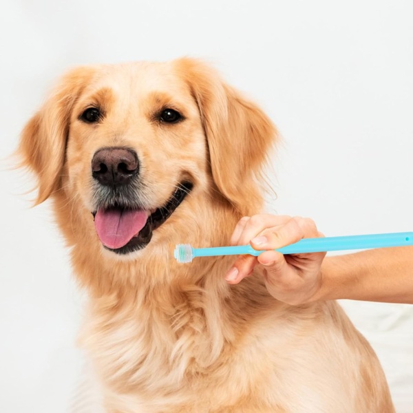 2 Pack Small Dog & Cat Toothbrush,360 Degree Soft Silicone Pet Toothbrush Cat Dental Care Dog Oral Hygiene Deep Clean Pet Teeth Cleaning Kit (Small Size) - Image 6