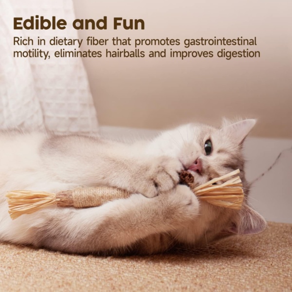 Cat Silvervine Chew Sticks, 3pcs Natural Cat Teeth Nip Cleaning Catnip Toys for Indoor Cats Kitten Teething and Stress - Image 4