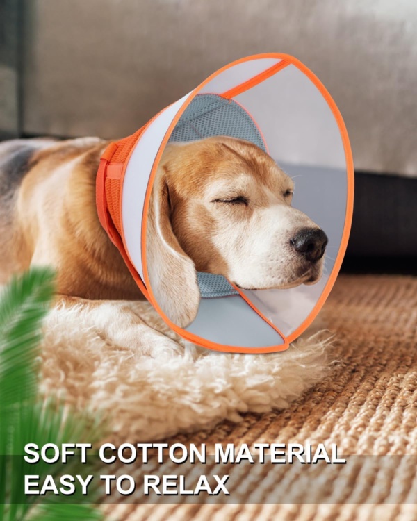 Dog Cone Collar Large,Soft Dog Cone With Adjustable Buckle,Anti- Bite Elizabethan Collars For Dog & Cats, Pet Collar Comfy Cone Neck Collar After Surgery (Orange, L(15.7''-18.9'')) - Image 2
