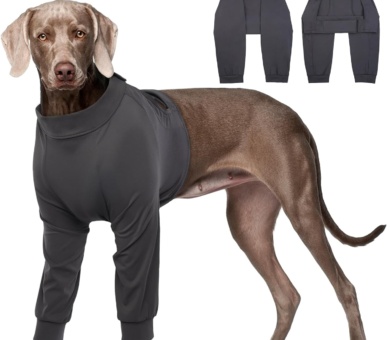 Kuoser Dog Recovery Suit - Female Foreleg Surgical Suit, Blue