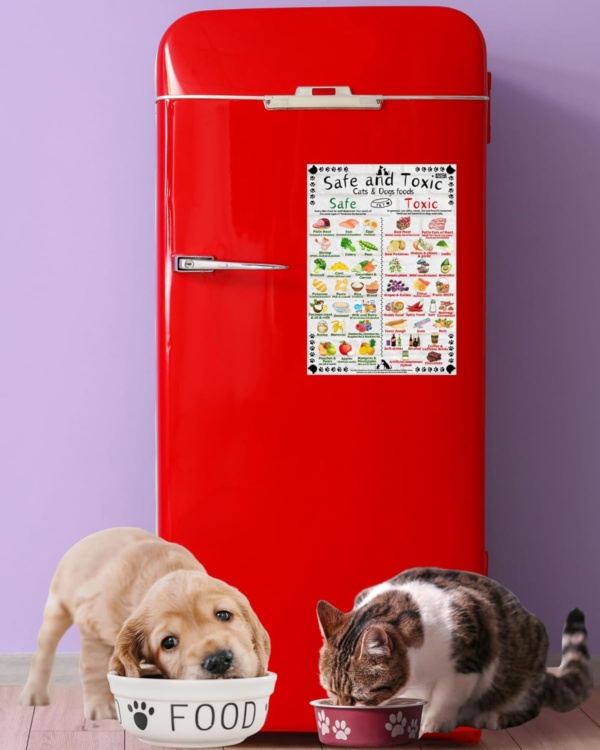 Safe and Toxic Foods for Dogs and Cats Essential Pet Health Guide fridge MAGNET - Size A4 (8.3 x 11.7 inch) - Image 2