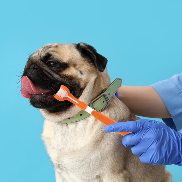 Dog Toothpaste and Brush 3PCS Soft Bristle Dog Dental Care Kit Puppy Dogs & CatsThree-Sided Toothbrush Teeth Finger Brush with Paste Plaque Tartar Remover Breath Freshener - Image 7