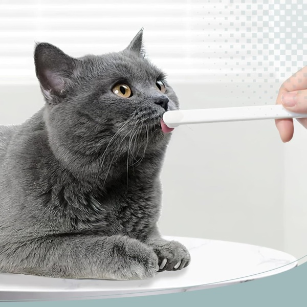 Pet Toothbrush, 2Pcs Cat Toothbrush Dog Toothbrush Puppy Toothbrush Kitten Toothbrush Small Dog Toothbrush Soft Toothbrushes for Dogs Cats Tooth Brush Dogs Toothbrush Dental Care for Small Dogs Cats - Image 6