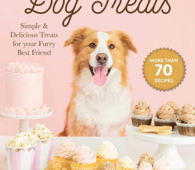 Healthy Homemade Dog Treats: More than 70 Simple & Delicious Treats for Your Furry Best Friend