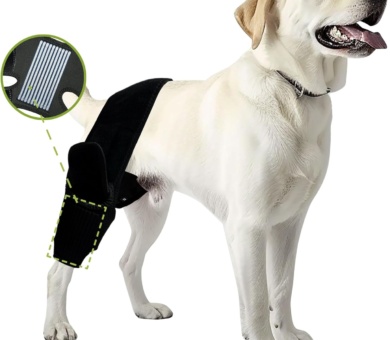 Dog Leg Braces for Back Leg Dog ACL Brace for Torn and Back Hind Rear Legs ACL Tear, Dog Leg Brace for Hip Dysplasia, Dog Arthritis, Luxating Patella(Size L)