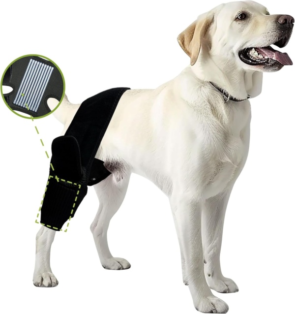 Dog Leg Braces for Back Leg Dog ACL Brace for Torn and Back Hind Rear Legs ACL Tear, Dog Leg Brace for Hip Dysplasia, Dog Arthritis, Luxating Patella(Size L)