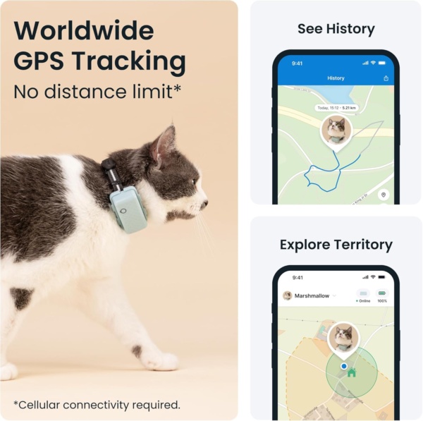 Tractive GPS Cat Tracker (6.5 lbs+), Real-time Pet Location Tracker, Health & Wellness Alerts, Battery Life Up to 7 Days, Breakaway Cat Collar Included (Mint) - Image 2