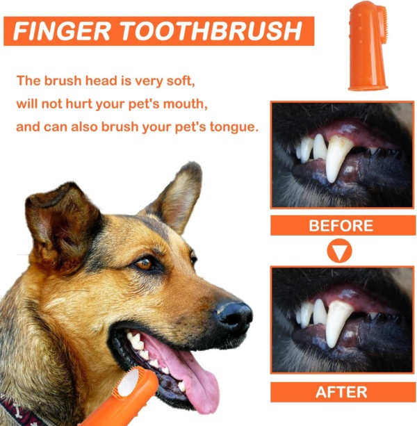 Dog Toothbrush with Toothpaste|Dog Dental Care Set|with Beef Flavor Toothpaste & Finger Brush & Soft Bristle Toothbrush|Dogs & Cats Dental Kit Against Bad Breath - Image 4