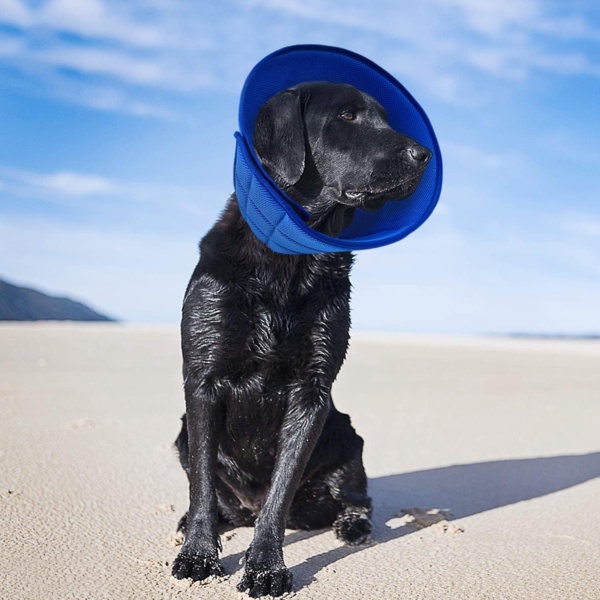 Breathable Mesh Elizabethan Collar, Soft Adjustable E-collor For Pet Dogs Cats Rabbit Quicker Healing Anti-Bite Anti-Lick Easy Eat and Drink(Blue) - Image 7