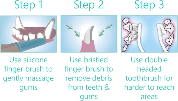 Dental Care Kit for Dogs & Cats Toothpaste (100g) with 3 x Toothbrushes to Clean Pet's Teeth, Remove Plaque and Tartar, Improve Gum and Tooth Health & Pet Oral Hygiene - Image 4