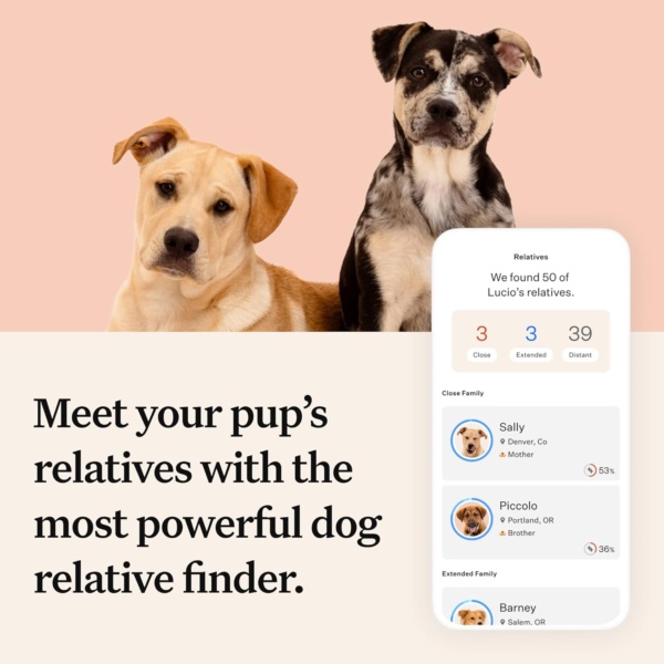 Wisdom Panel Premium: Most Comprehensive Dog DNA Test for 260+ Health Tests | Accurate Breed ID and Ancestry | Traits | Relatives | Behaviours | Vet Consult - Image 5