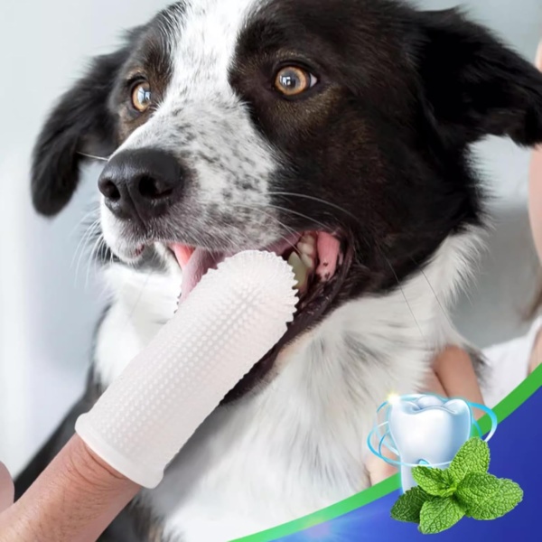 4 Pack Dog Finger Toothbrush Kit, 360° Cleaning Silicone Pet Brushing Teeth Cleaner Food Grade Silicone Dog Finger Toothbrush for Dogs & Cats Dental Care, Fits Most Fingers - Image 7