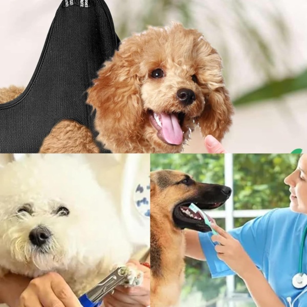 Dog Grooming Harness, Dog Grooming Hammock, Cat Grooming Harness, Dog Grooming Hammock, Breathable Restraint Holder For Small Pet Nail Cutting, Claw Care, Ears Care Washing, Bathing (Black) - Image 6
