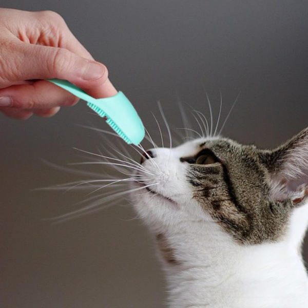 4pcs Pore Brush,25 * 105mm Finger Nose Brush,Gently Cleanses The Skin,Soft Silicone Bristles,Mini Nose Clean Blackheads Skin,Suitable For Dental Care Of Cats,Dogs And Puppies - Image 5