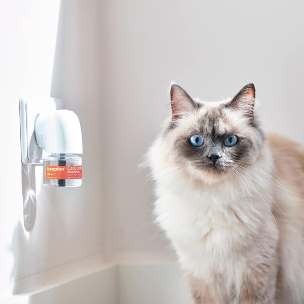 Beaphar | CatComfort Excellence Refill | Optimises Feelings of Reassurance & Well-Being | Promotes Multi-cat Harmonious Living | For Use with CatComfort Excellence Diffuser | Lasts Up To 30 Days - Image 6