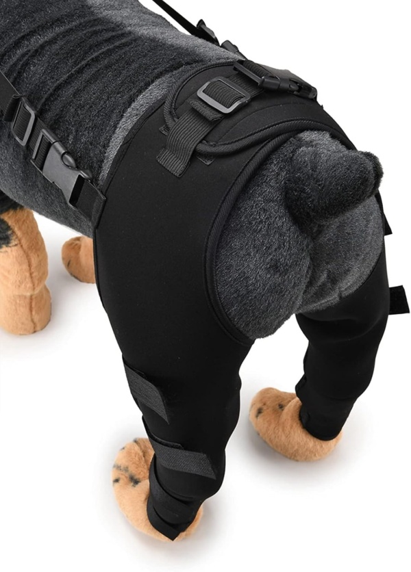 SMALLLEE_LUCKY_STORE Dog Knee Brace for Back Leg Torn ACL Neoprene Canine Stifle Support Hip Hock Joint Compression Wrap Sprains Injury Protection Loss of Stability from Arthritis Relieve Pain - Image 8