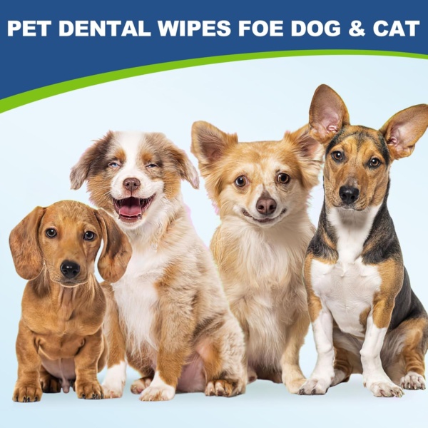 Dogs Teeth Cleaning Wipes, Dog Dental Finger Wipe for Dog & Cats Care Reduces Plaque & Freshens Breath, Disposable Dogs Finger Toothbrush Gentle Pet Dental（60 Counts） - Image 8