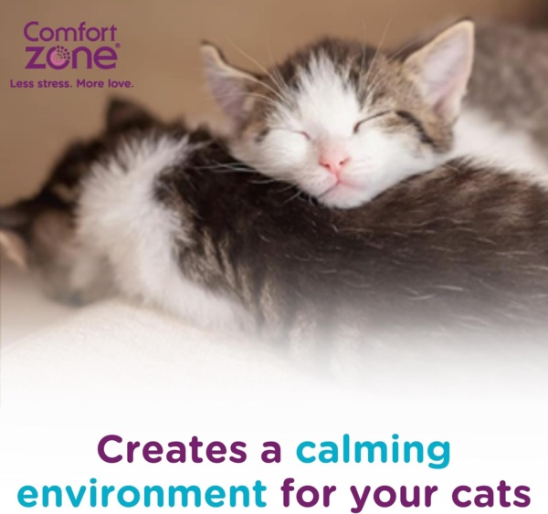 Calming Pheromone Diffuser Starter Kit, for a Calm Single or Multi-Cat Home, Reduces Stress, Spraying, Scratching & Other Problematic Behaviours, 1 Diffuser & 1 Refill - Image 9