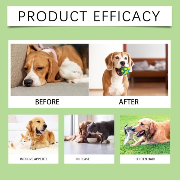 Digestive Tablets for Dogs - Pet Probiotic Tablets Pet Health Supplement Probiotic | Dog Probiotic Support Gut Health, Itchy Skin, Allergies, Yeast Balance, Immunity - Image 4