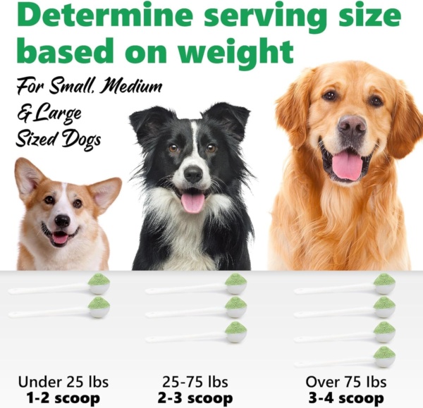 HONGYEE Dog Dental Powder,Dog Teeth Cleaning Powder, Plaque Off for Dogs & Cats Breath Freshener for Bad Breath, Tartar Remover,Dental Care Supplies for Small, Medium, Pet Denta 300g - Image 6