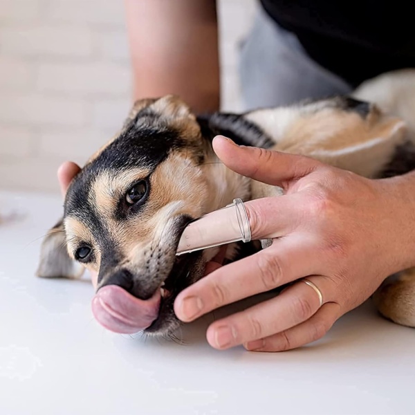 12Pcs Dog Finger Toothbrush Transparent Dog Toothbrush Set Cat Dog Silicone Finger Toothbrush Easy Pets Teeth Cleaning Toothbrush for Dogs Cats Dental Care - Image 7