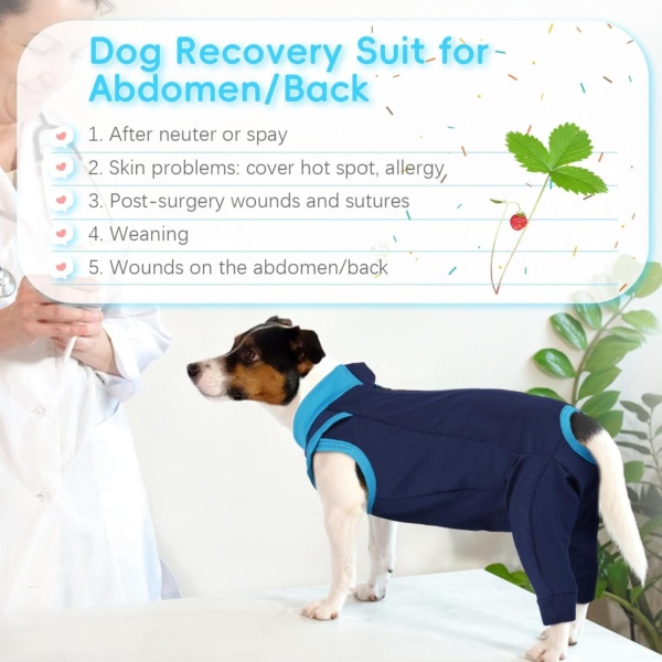 PUMYPOREITY Dog Post Surgery Body Suit, Dog Operation Recovery Suit Female Dog Anti Licking Sleeve Dog Castration Recovery Suit Male(Navy blue, 2XL) - Image 4