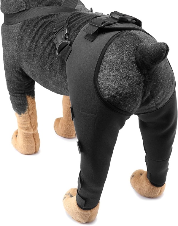 SMALLLEE_LUCKY_STORE Dog Knee Brace for Back Leg Torn ACL Neoprene Canine Stifle Support Hip Hock Joint Compression Wrap Sprains Injury Protection Loss of Stability from Arthritis Relieve Pain - Image 3