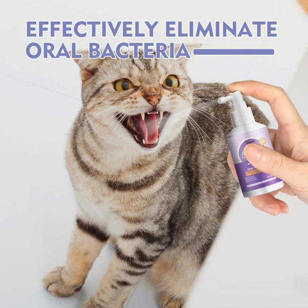 VENNERLI Pet Oral Care Spray Cleaning Oral Care Freshens Breath Reduces Oral Tartar Promote Oral Health (50ml) - Image 6