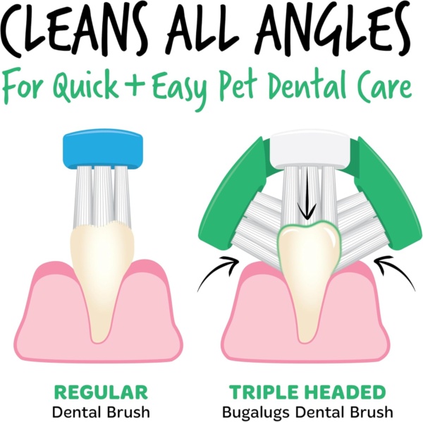 Bugalugs Dog Toothbrush & Cat Toothbrush Triple Headed Plaque Remover, Our Dental Teeth Cleaning Products Makes Teeth Cleaning Easier with Dog Toothpaste & Cat Toothpaste - Image 4