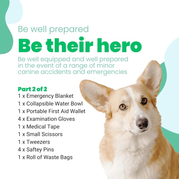Dogs UK® | First Aid Kit for Dogs | Expert Dog Health and Dog Care | Dog First Aid Kit UK Specialists - Image 4