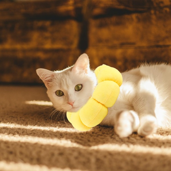 Sunflower Pet Recovery Collar Soft and Comfortable Anti-Lick and Scratch Adjustable Neck Collar Promote Healing for Cats and Dogs Post-surgery Care - Image 4