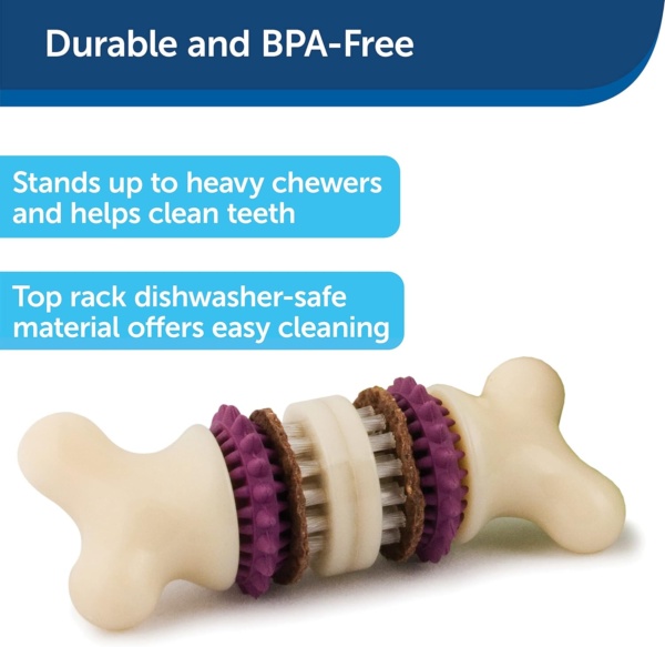 Premier PetSafe Busy Buddy Bristle Bone S Durable Dog Chew Toy, Dog Toy Bone with Treat Rings for Dental Health, Small Dogs - Image 2