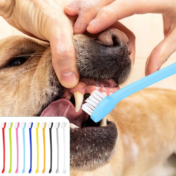 100pcs Dog Toothbrush, Dual Headed Soft Bristles Cat Toothbrush Anti-Slip Kitten Teeth Cleaning Double Headed Brush Easy Cleaning Dental Care Supplies for Dogs Cats Puppy Kitty Pets (10 Colors) - Image 6