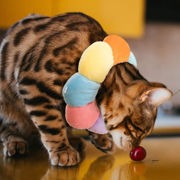Cat Cone Collar Soft Cat Recovery Collar Cute Flower Adjustable for Small Dogs and Cats - Comfortable Pet Recovery, Cute and Functional - Image 6