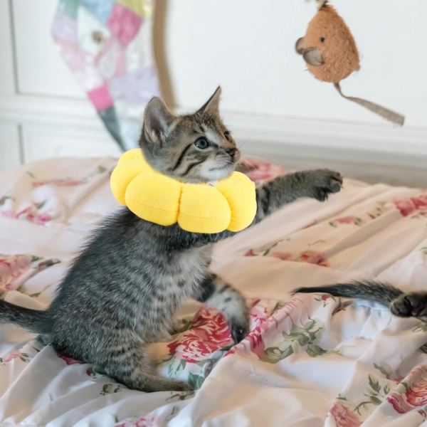 Sunflower Pet Recovery Collar Soft and Comfortable Anti-Lick and Scratch Adjustable Neck Collar Promote Healing for Cats and Dogs Post-surgery Care - Image 5