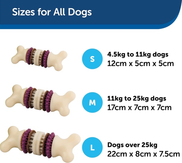 Premier PetSafe Busy Buddy Bristle Bone S Durable Dog Chew Toy, Dog Toy Bone with Treat Rings for Dental Health, Small Dogs - Image 6