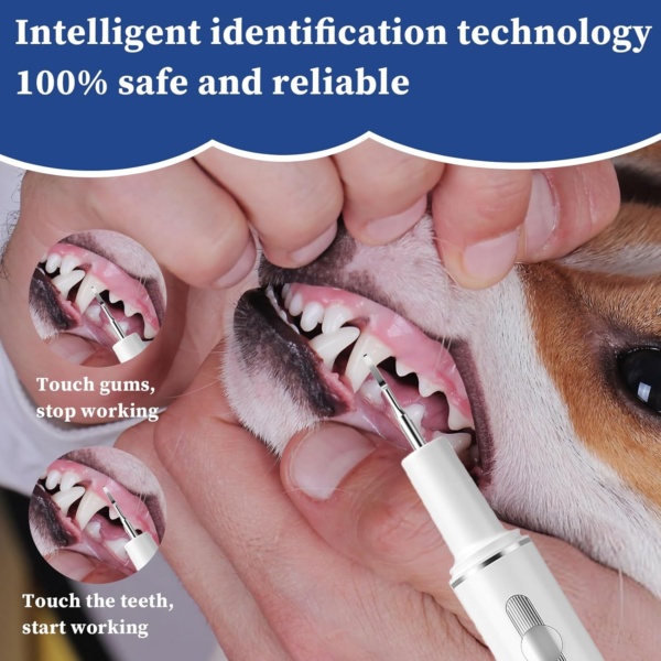 Pet Tooth Brushing Kit, Remover for Teeth Dog, Plaque Remover Safe for Dogs and Cats, 3 Modes, Pet Tooth Cleaner Dental Care Tartar Plaque Remover with LED Light (White) - Image 3
