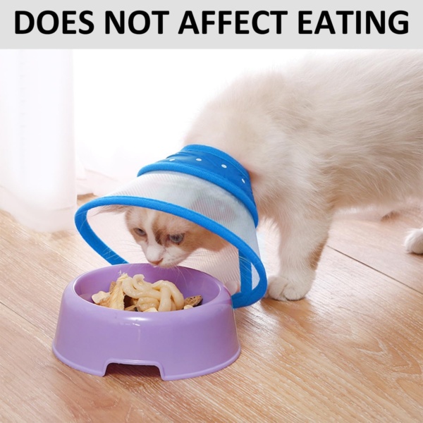 1 Piece Pet Collar - Leak Protection for Cats & Dogs, Transparent, Lightweight (Blue) - Image 6